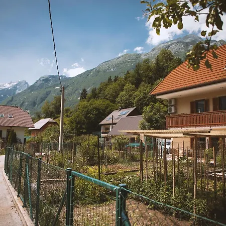 4 Sheeps Apartment *