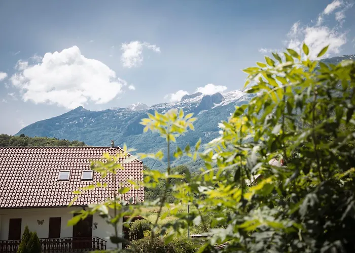 4 Sheeps بوويتش